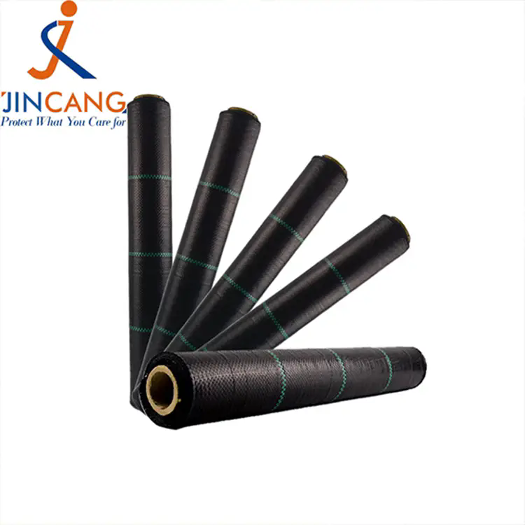 Hur man väljer den bästa ogräsmattan för effektiv bekämpning av ogräs i trädgården Hur man väljer den bästa ogräsmattan för effektiv bekämpning av ogräs i trädgården