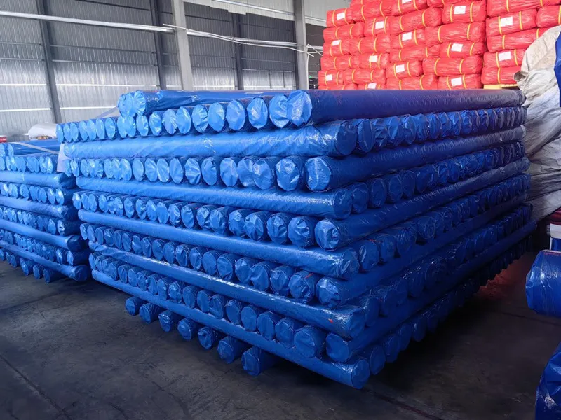 Blue PE Tarpaulin Roll