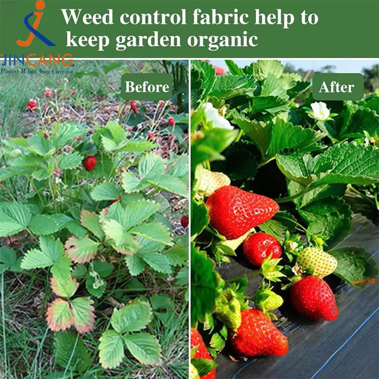 Ogräsbekämpningstygmatta