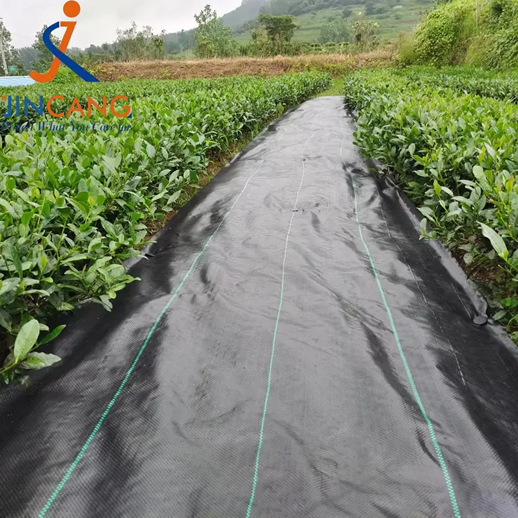 Ogräsbekämpningstygmatta