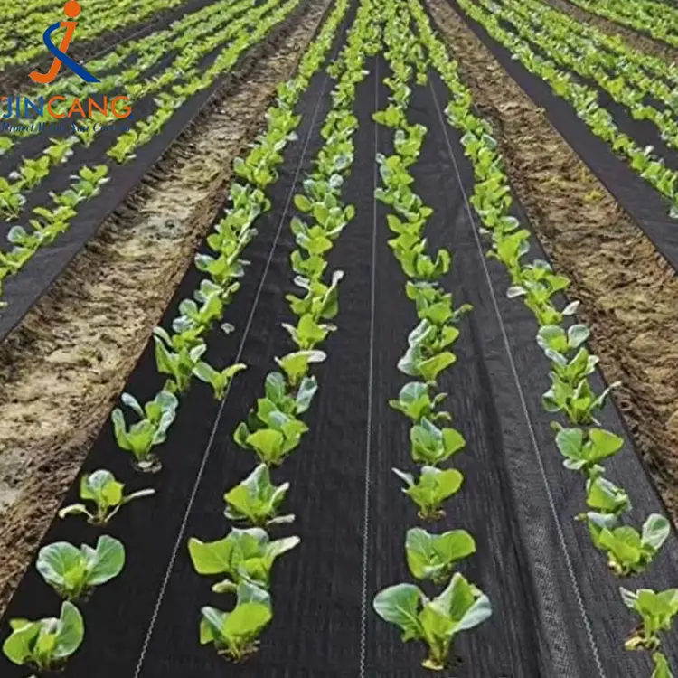 Hållbar ogräsmatta